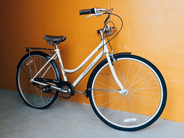 biking-dubai-640x480-21687031.jpeg