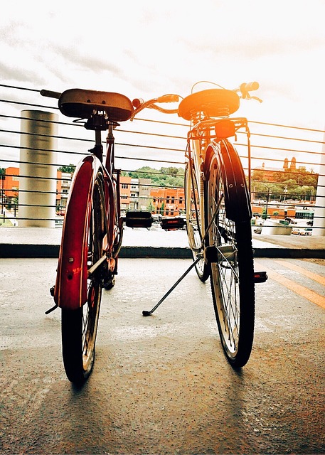 biking dubai