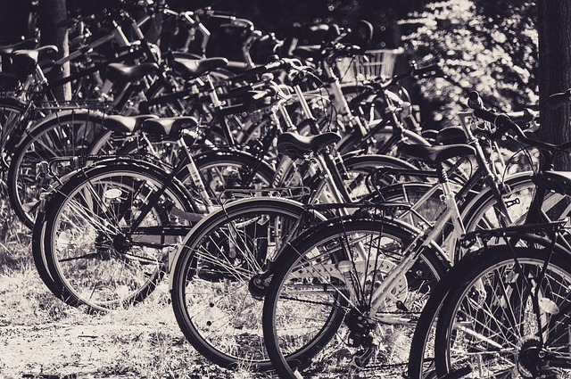 biking dubai