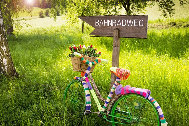 biking dubai