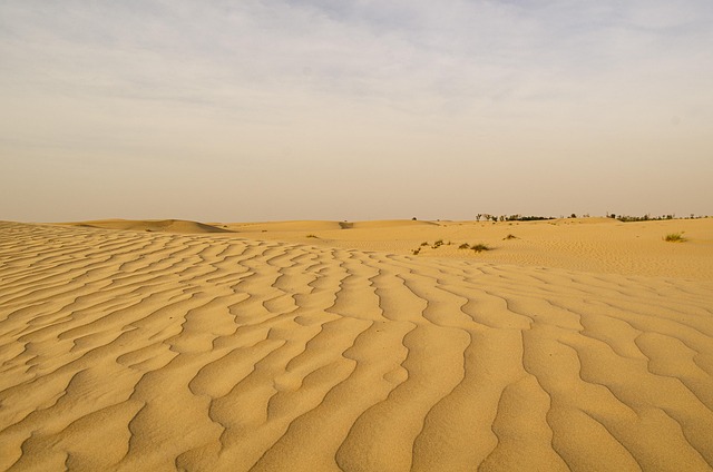 biking dubai