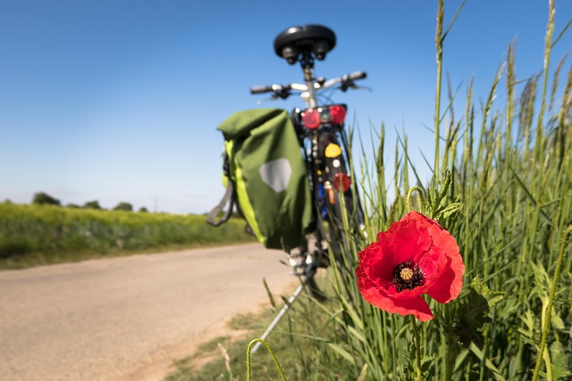 biking-dubai-640x480-88680879.jpeg