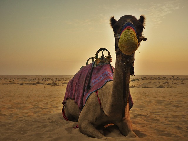 biking dubai