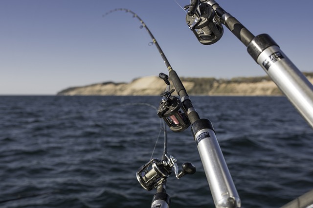 boat charter