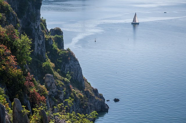 boat charter