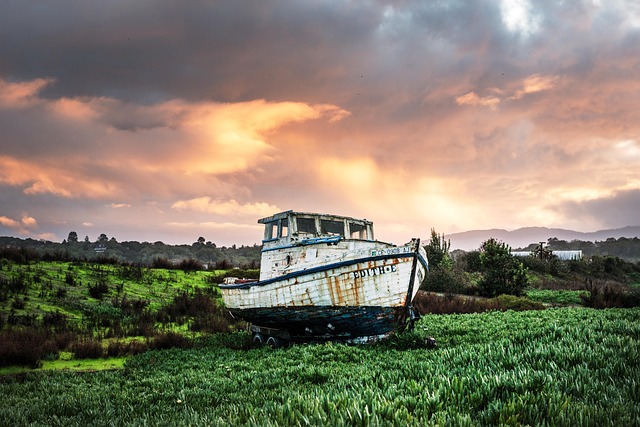 boat charter