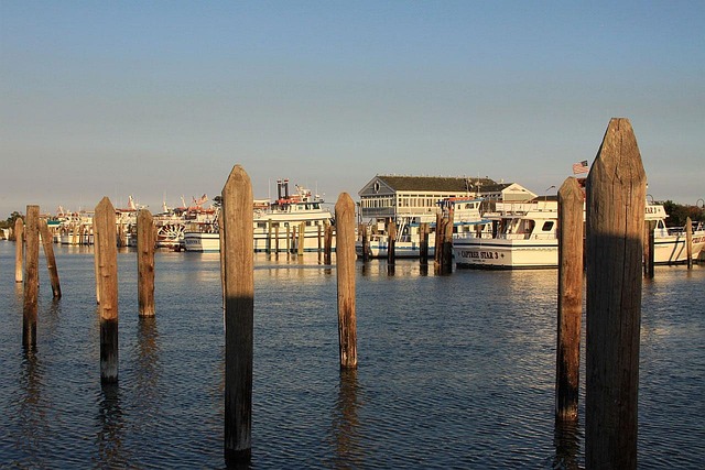boat charter