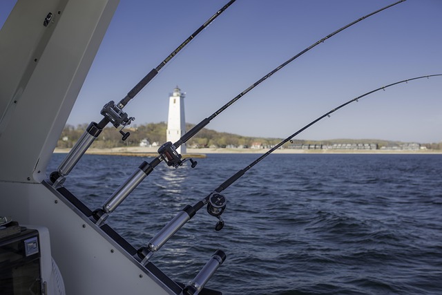 boat charter