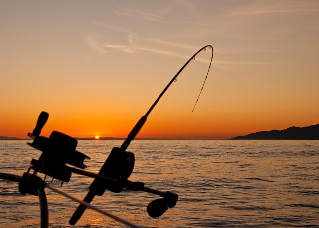 boat charter