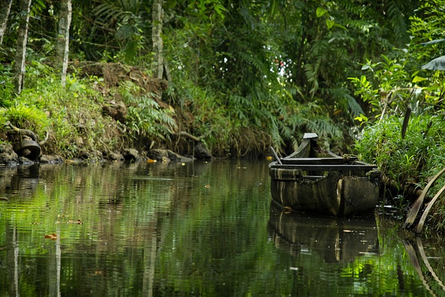 boat-charter-640x480-71410444.jpeg