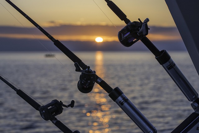 boat charter
