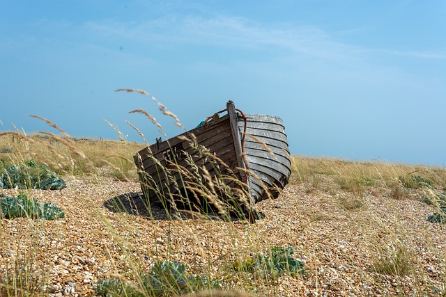 boat-charter-640x480-78113304.jpeg