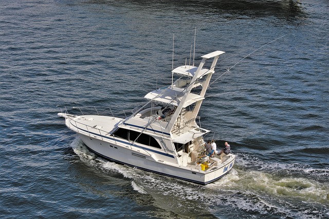 boat charter
