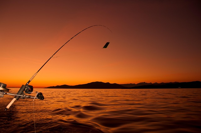 boat charter