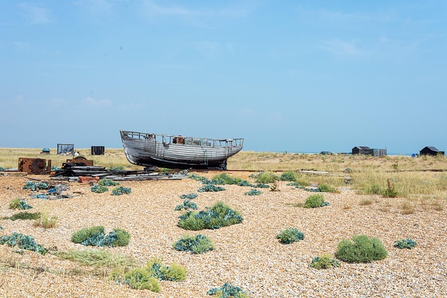 boat charter