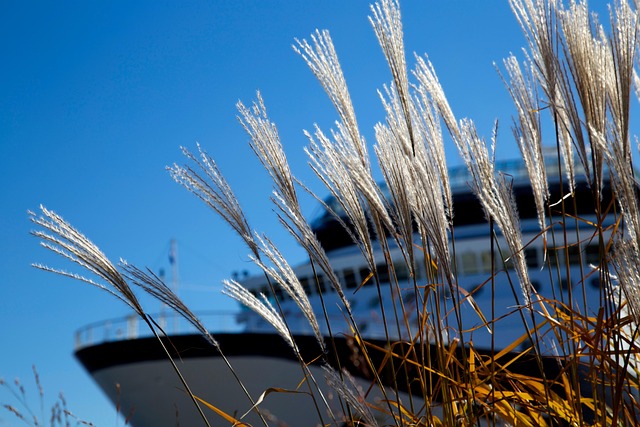boat-cruises-640x480-26859052.jpeg