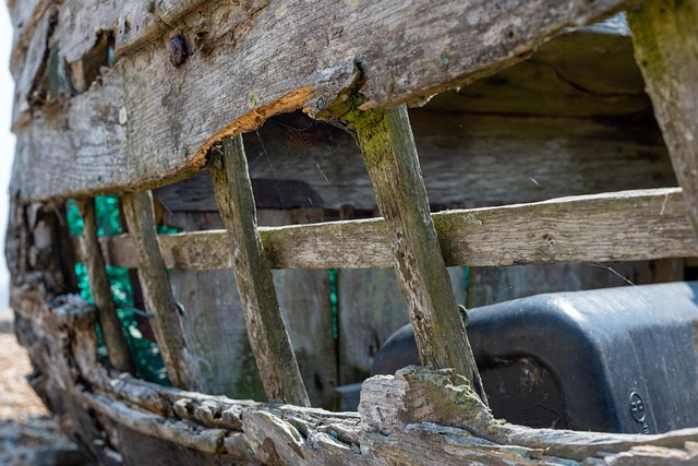 boat hire