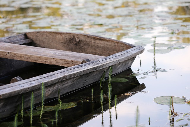 boat rental