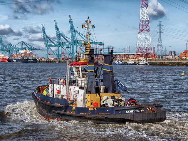 boat rental