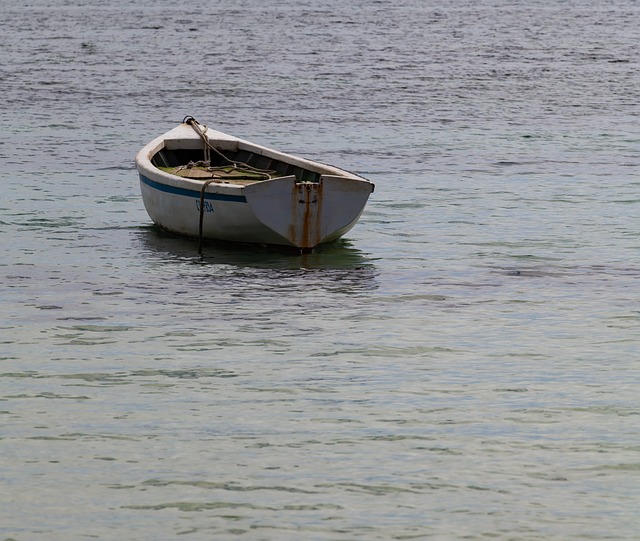 boat rentals