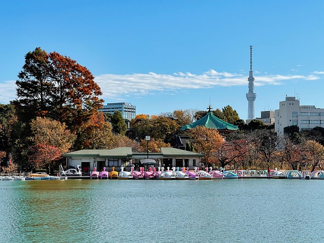 boat rentals
