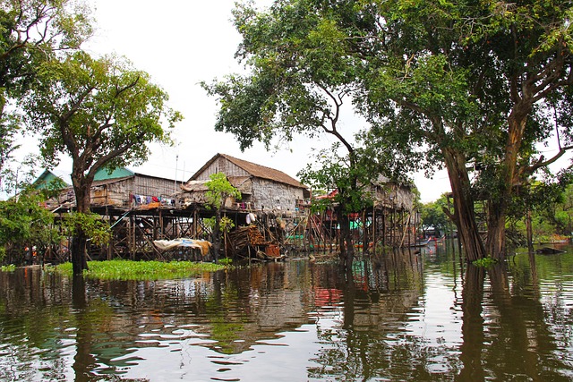 Boat Tours
