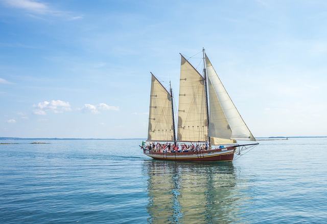 Boat Tours