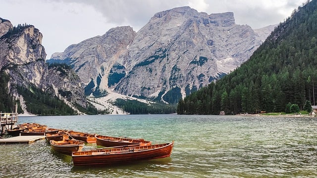 Boat Tours