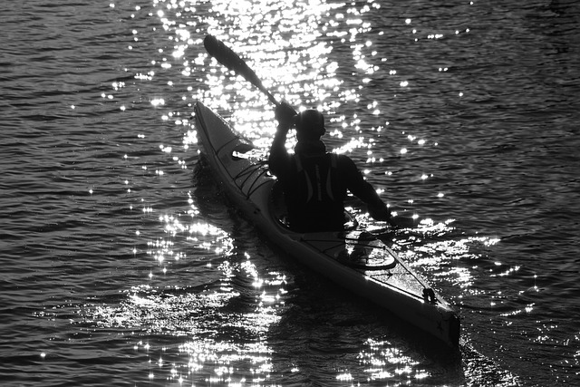 Boat Tours