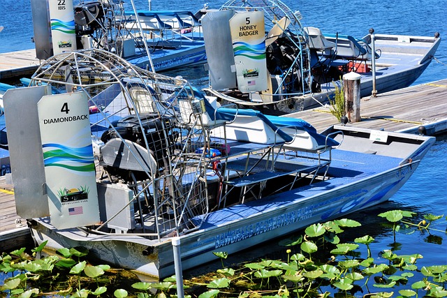 Boat Tours