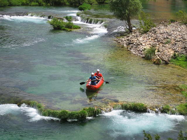 Boat Tours
