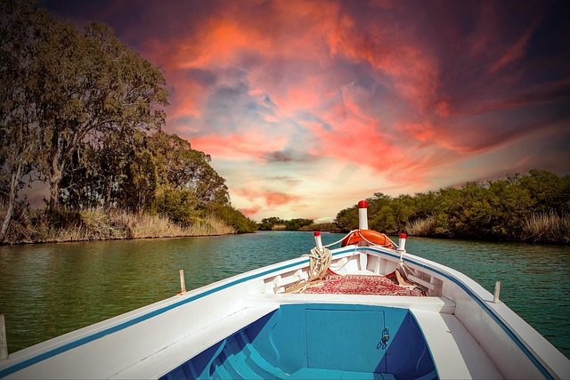 Boat Tours