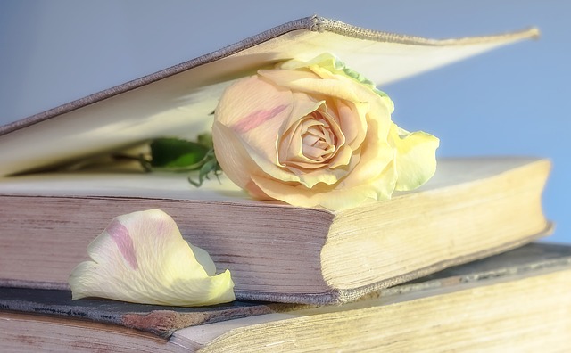 book yacht