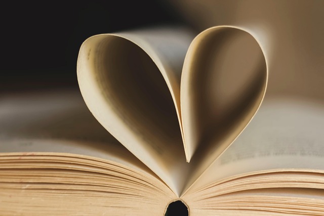 book yacht