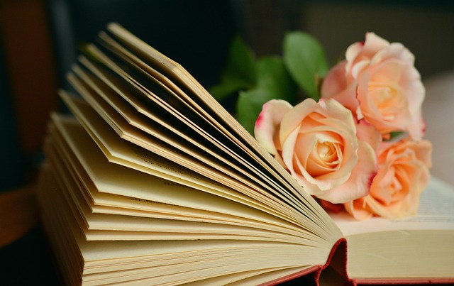book yacht