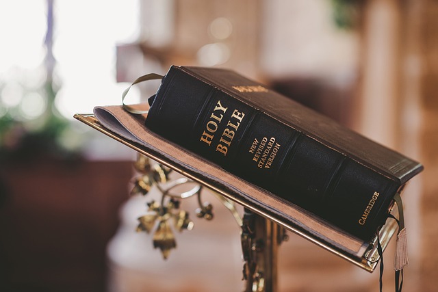 book yacht