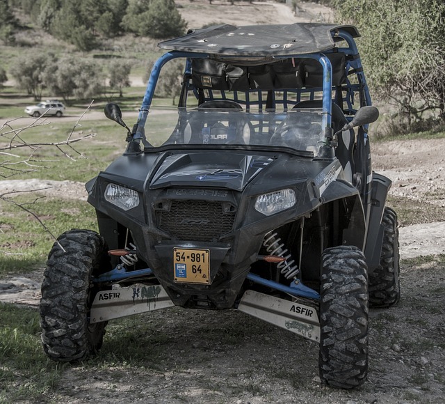 buggy adventure