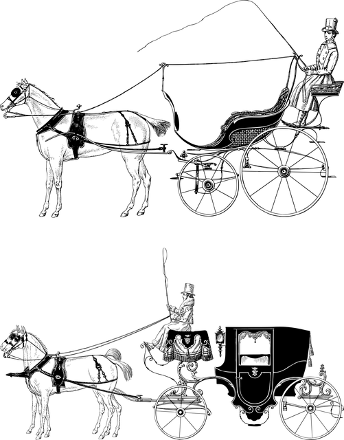 buggy-adventure-640x480-44281385.png