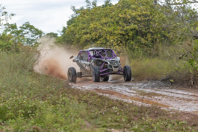 buggy adventure