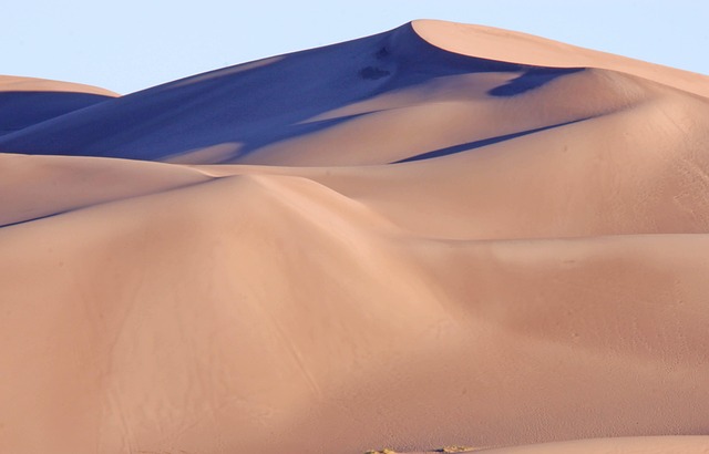 buggy desert