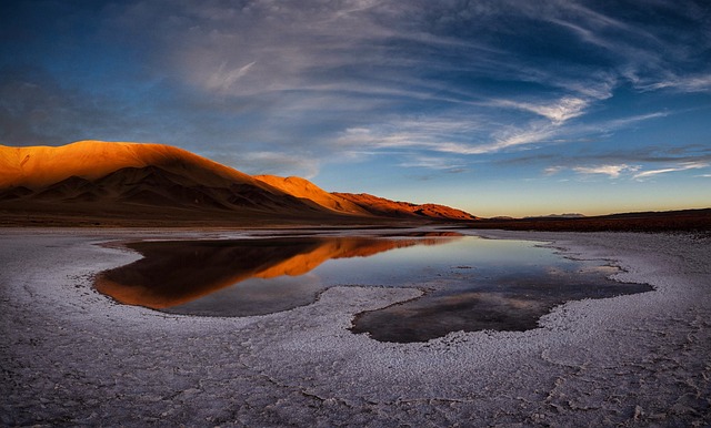 buggy desert