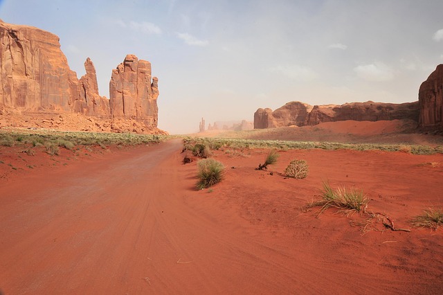 buggy desert