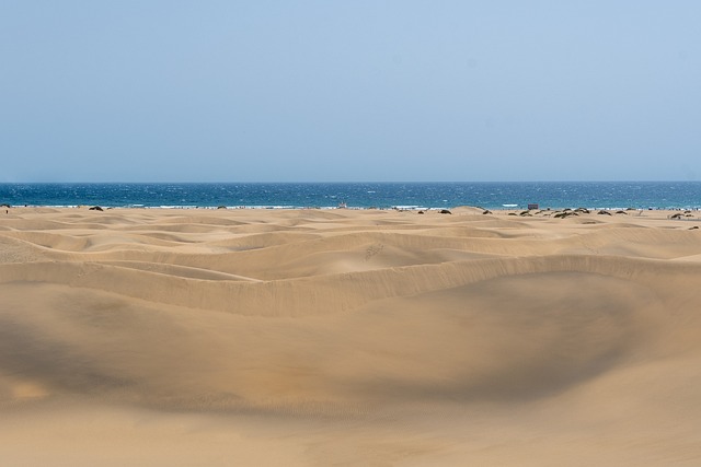 buggy desert