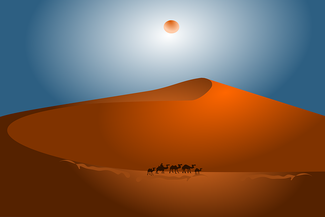buggy desert