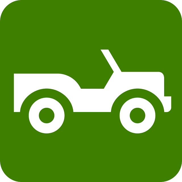buggy driving