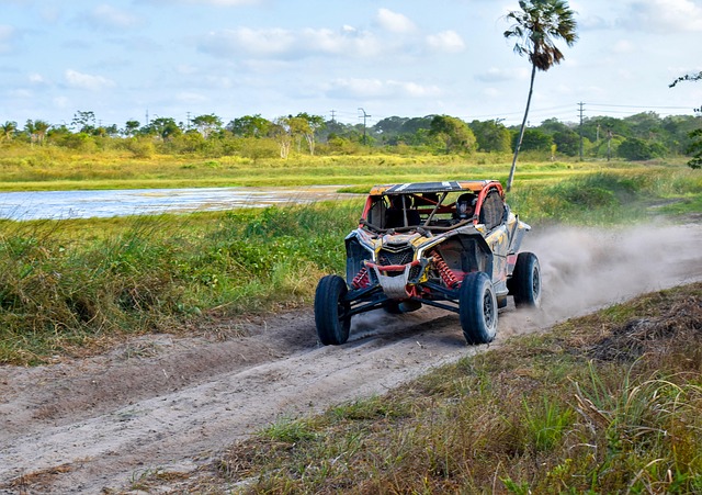 buggy driving