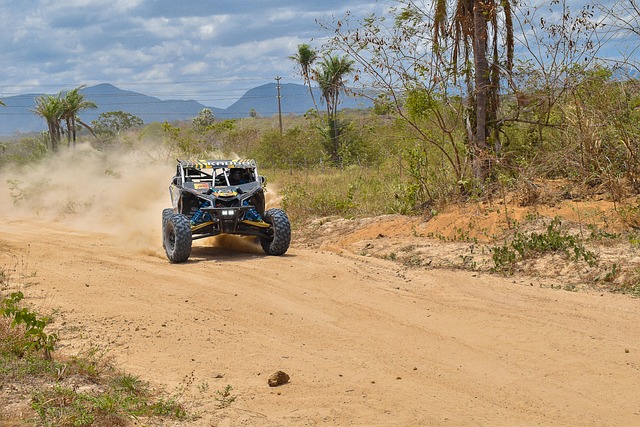 buggy experience