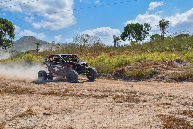buggy experience