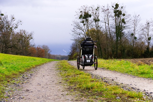 Buggy Hire