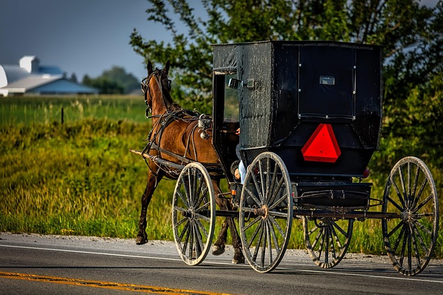Buggy Hire